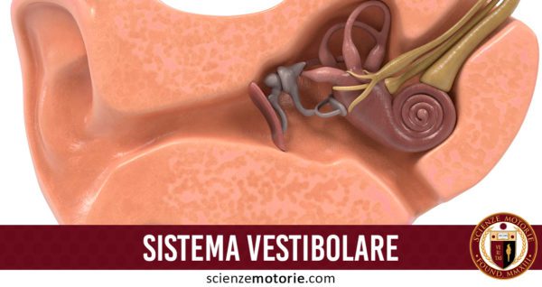 sistema vestibolare