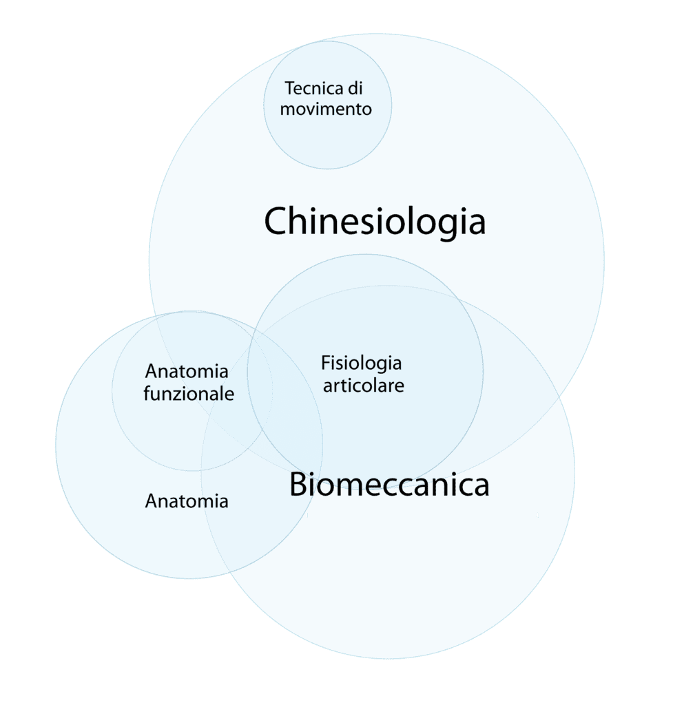 Schema Biomeccanica