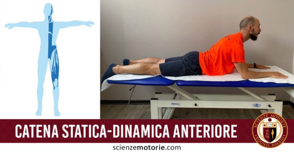 catena statica dinamica-anteriore