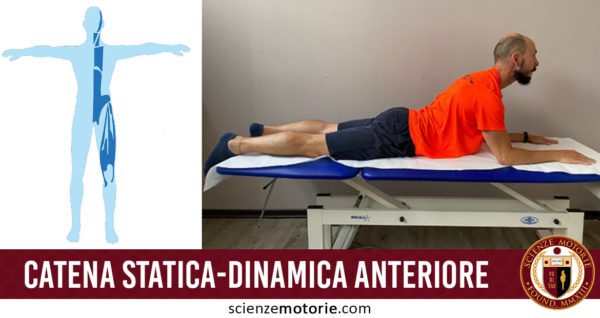 catena statica dinamica-anteriore