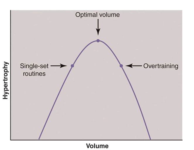 Dose-risposta in riferimento all'effetto del volume sull'ipertrofia muscolare