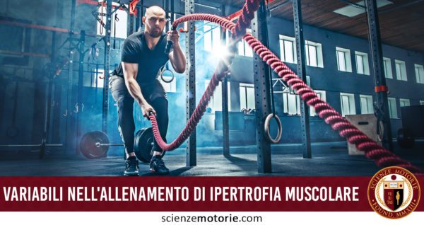 allenamento ipertrofia muscolare