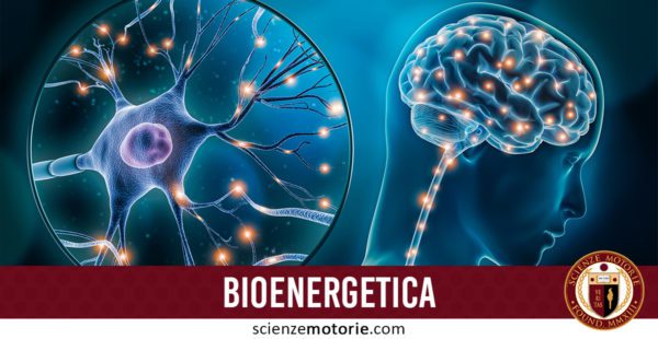 bioenergetica