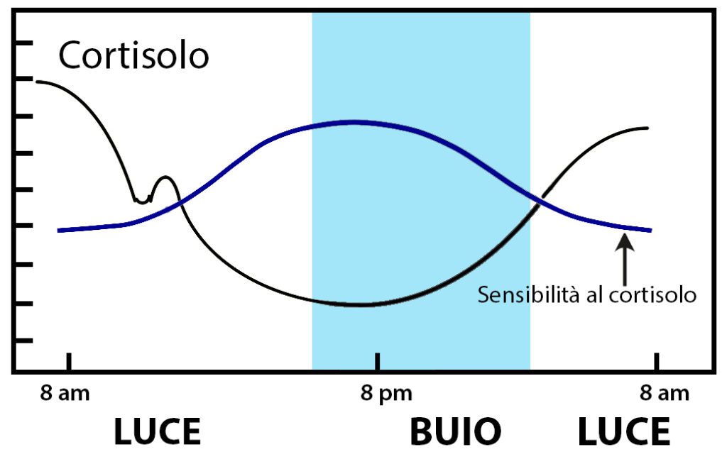 Variazione delle concentrazioni di cortisolo