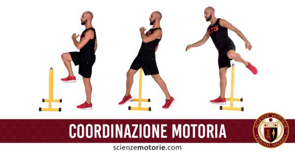 Coordinazione motoria