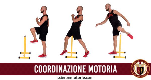 Coordinazione motoria