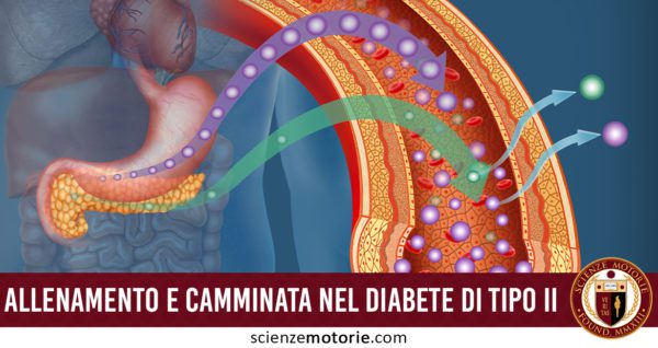 allenamento e camminata nel diabete di tipo II